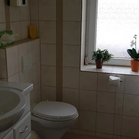 Holiday home Kuehnhaide Im Erzgebirge *
